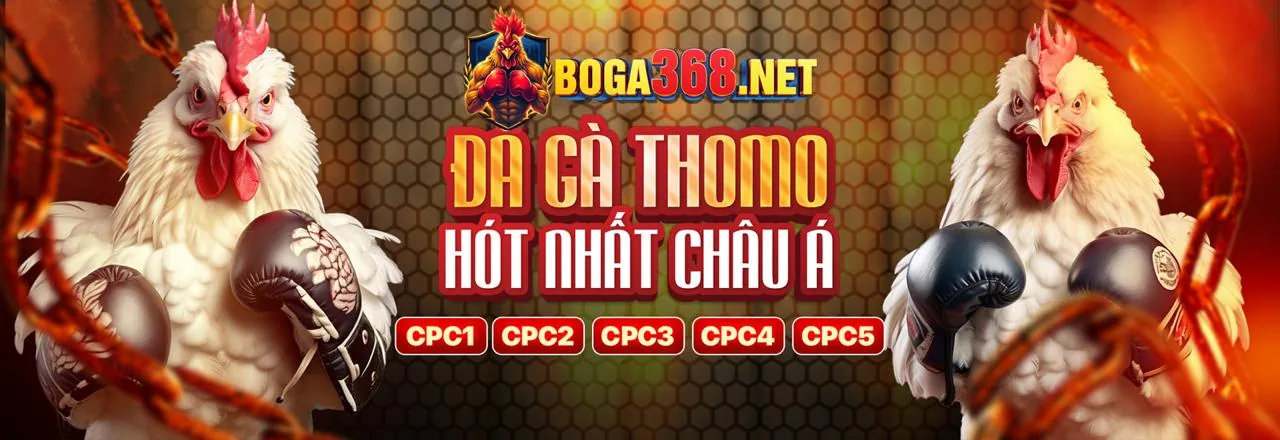 Tuyên bố miễn trừ trách nhiệm pháp lý của huvip88 nhà cái